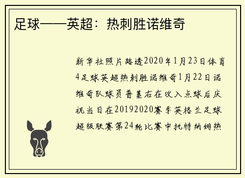 足球——英超：热刺胜诺维奇
